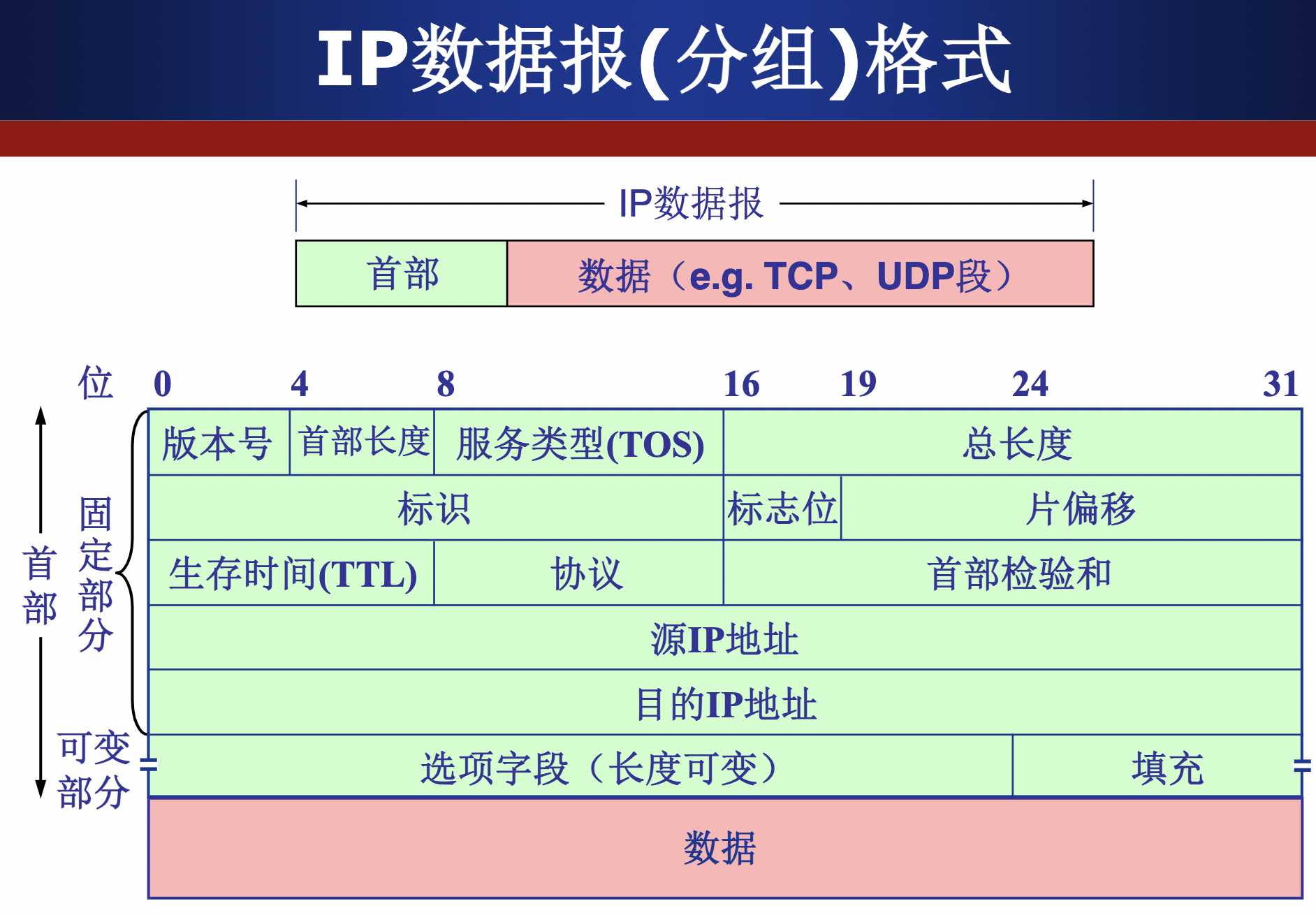 IP数据报格式