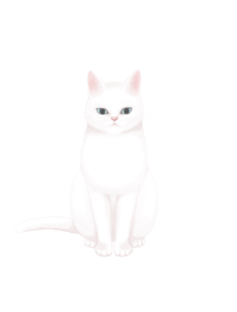 tororo